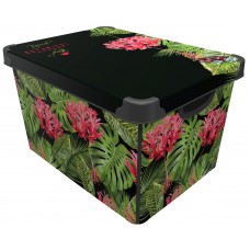 Коробка QUTU STYLE BOX з/кр BOTANIC 20л. (STYLE BOX з/кр BOTANIC 20л.)