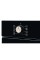 Духова шафа VENTOLUX BRISTOL 6 MT (BK)