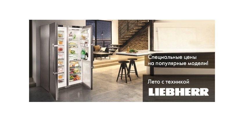 Акция на холодильники Либхер